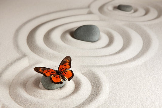 Unlock the Zen Path to Prosperity: Embrace Minimalism and Unleash Abundance