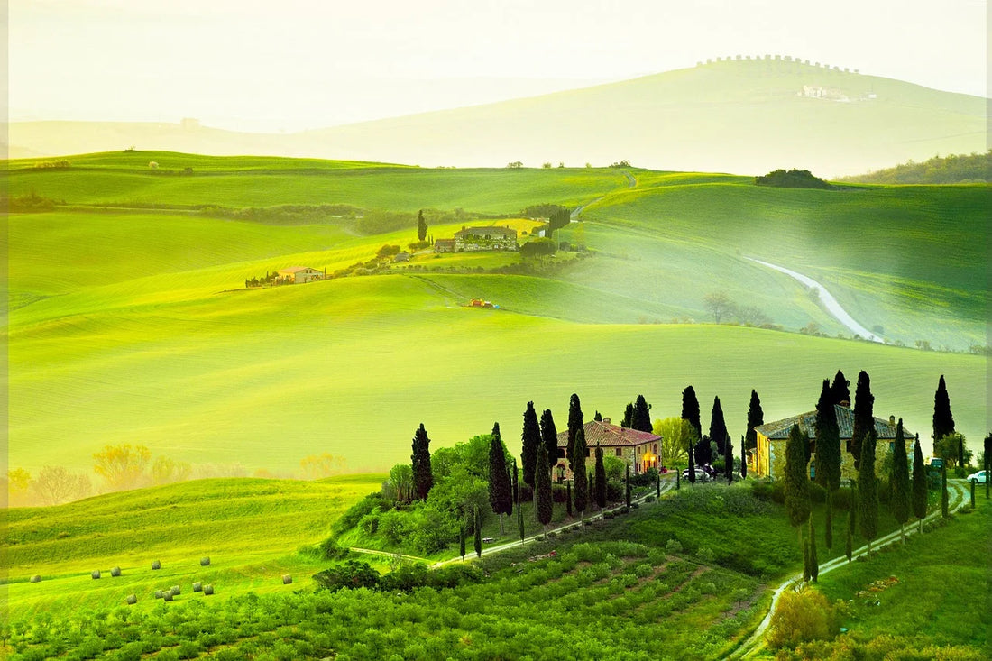Unlocking the Secrets of Feng Shui for Wealth: A Journey to Financial Abundance