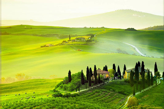 Unlocking the Secrets of Feng Shui for Wealth: A Journey to Financial Abundance